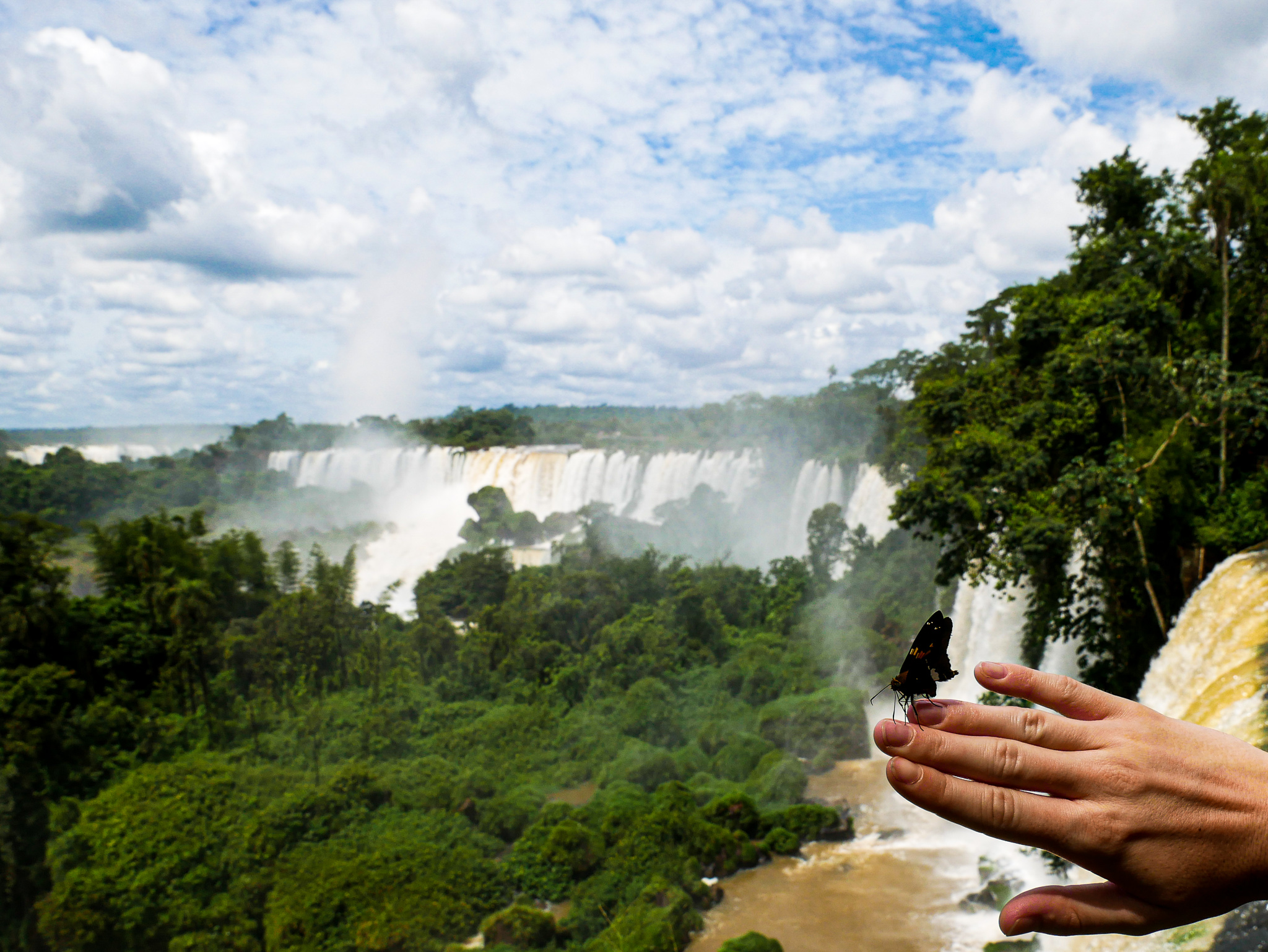 Chute d'Iguazù en Argentine avec le copain papillon