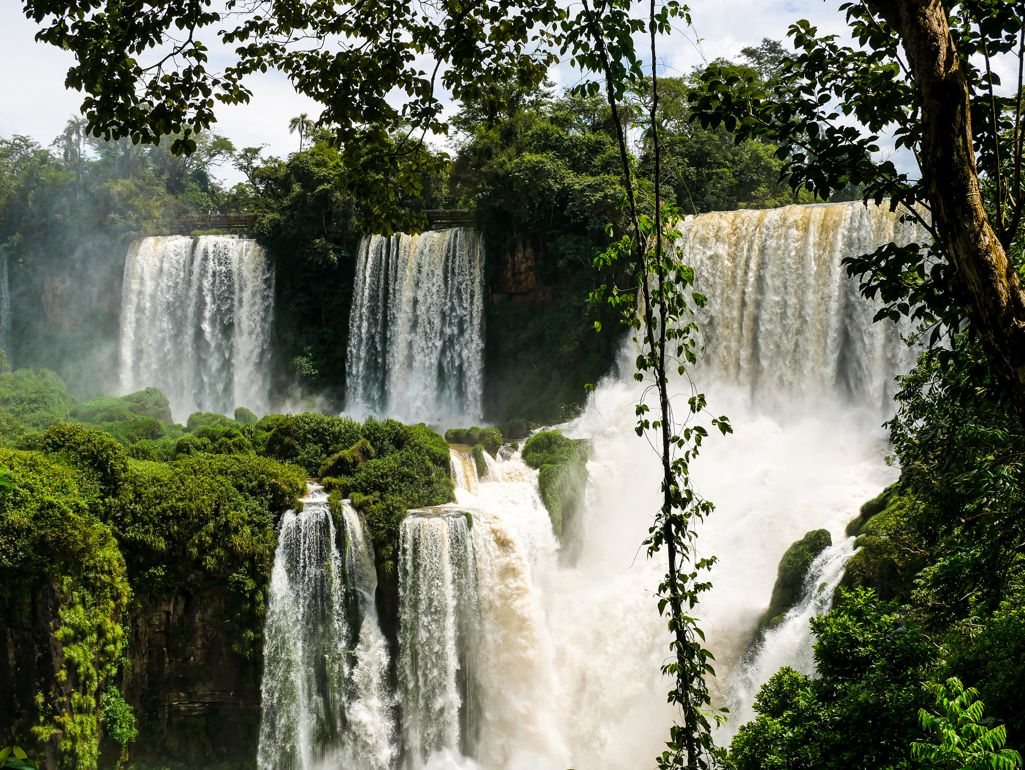 Chute d'Iguazù en Argentine avec la liane de Tarzan